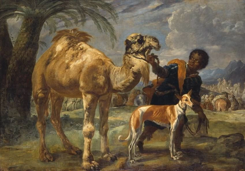 Moro con levriero e dromedario - Bavarian State Painting Collections, Monaco di Baviera